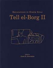 Tell el–Borg II – Excavations in North Sinai