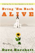 Bring 'em Back Alive: A Healing Plan for Those Wounded by the Church