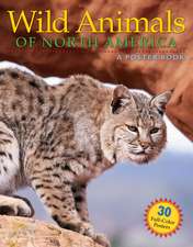 Wild Animals of North America: A Poster Book