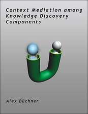 Context Mediation Among Knowledge Discovery Components: An Analysis of Shareholders Value Creation and Premium Paid to Integrate with Megabanks