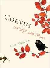 Corvus: A Life with Birds