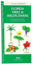 Florida Trees & Wildflowers: A Folding Pocket Guide to Familiar Species