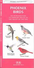 Phoenix Birds: An Introduction to Familiar Species in the Valley of the Sun