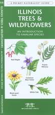 Illinois Trees & Wildflowers: An Introduction to Familiar Species