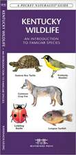 Kentucky Wildlife: An Introduction to Familiar Species