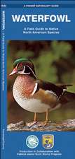 Waterfowl: A Field Guide to Native North American Species