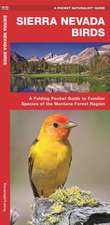 Sierra Nevada Birds: A Folding Pocket Guide to Familiar Species of the Montane Forest Region