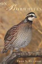 On Bobwhites: 