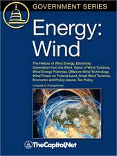 Energy: The History of Wind Energy, Electricity Generation from the Wind, Types of Wind Turbines, Wind Energy Potential,