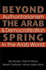 Beyond the Arab Spring