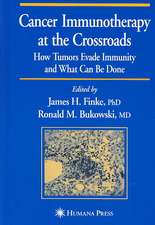 Cancer Immunotherapy at the Crossroads: How Tumors Evade Immunity and What Can Be Done