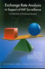 Exchange Rate Analysis in Support of IMF Surveillance: A Collection of Empirical Studies