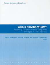 Who's Driving Whom?: Analyzing External and Intra-Regional Linkages in the Americas