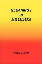 Gleanings in Exodus