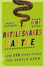 Why Rattlesnakes Rattle