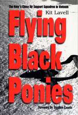 Flying Black Ponies: The Navy's Close Air Support Squadron in Vietnam