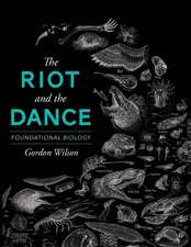 The Riot and the Dance