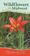 Wildflowers of the Midwest