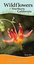 Wildflowers of Northern California