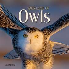 Our Love of Owls