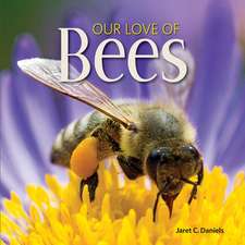 Our Love of Bees