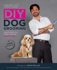 DIY Dog Grooming: Everything You Need to Know Step by Step