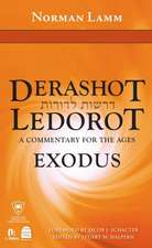 Derashot Ledorot: A Commentary for the Ages