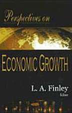 Perspectives on Economic Growth