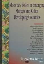 Monetary Policy in Emerging Markets and Other Developing Countries