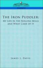 The Iron Puddler: My Life in the Rolling Mills and What Came of It