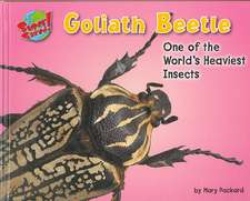 Goliath Beetle: One of the World's Heaviest Insects