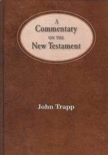 A Commentary of the New Testament