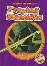 Praying Mantises