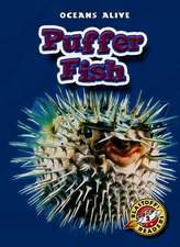 Puffer Fish