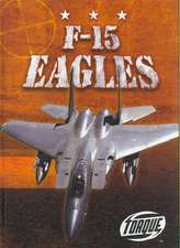 F-15 Eagles