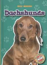 Dachshunds