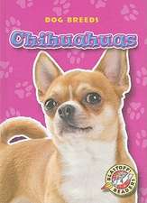 Chihuahuas