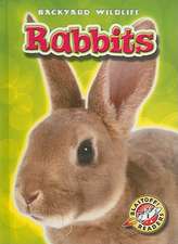 Rabbits