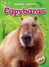 Borgert-Spaniol, M: Capybaras