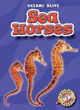 Sea Horses: Experts Share Strategies for Mastering Business, Life & Relationships