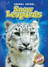 Snow Leopards