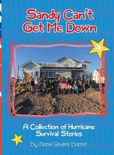 Sandy Can't Get Me Down: A Collection of Hurricane Survival Stories