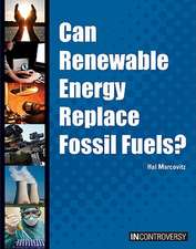 Can Renewable Energy Replace Fossil Fuels?