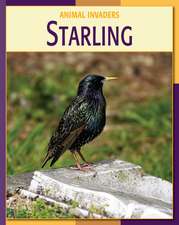 Starling