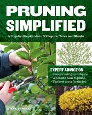 Pruning Simplified