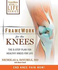 Framework for the Knee