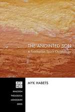 The Anointed Son: A Trinitarian Spirit Christology