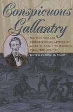 Conspicuous Gallantry: The Civil War and Reconstruction Letters of James W. King, 11th Michigan Volunteer Infantry