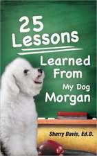 25 Lessons Learned from My Dog Morgan