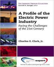 A Profile of the Electric Power Industry: Facing the Challenges of the 21st Century